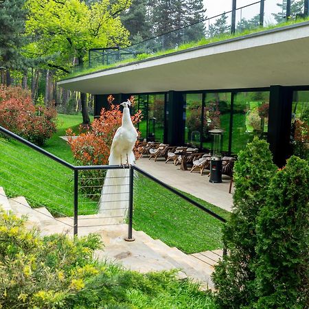Bioli Wellness Resort Kojori ภายนอก รูปภาพ