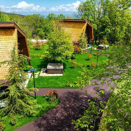 Bioli Wellness Resort Kojori ภายนอก รูปภาพ
