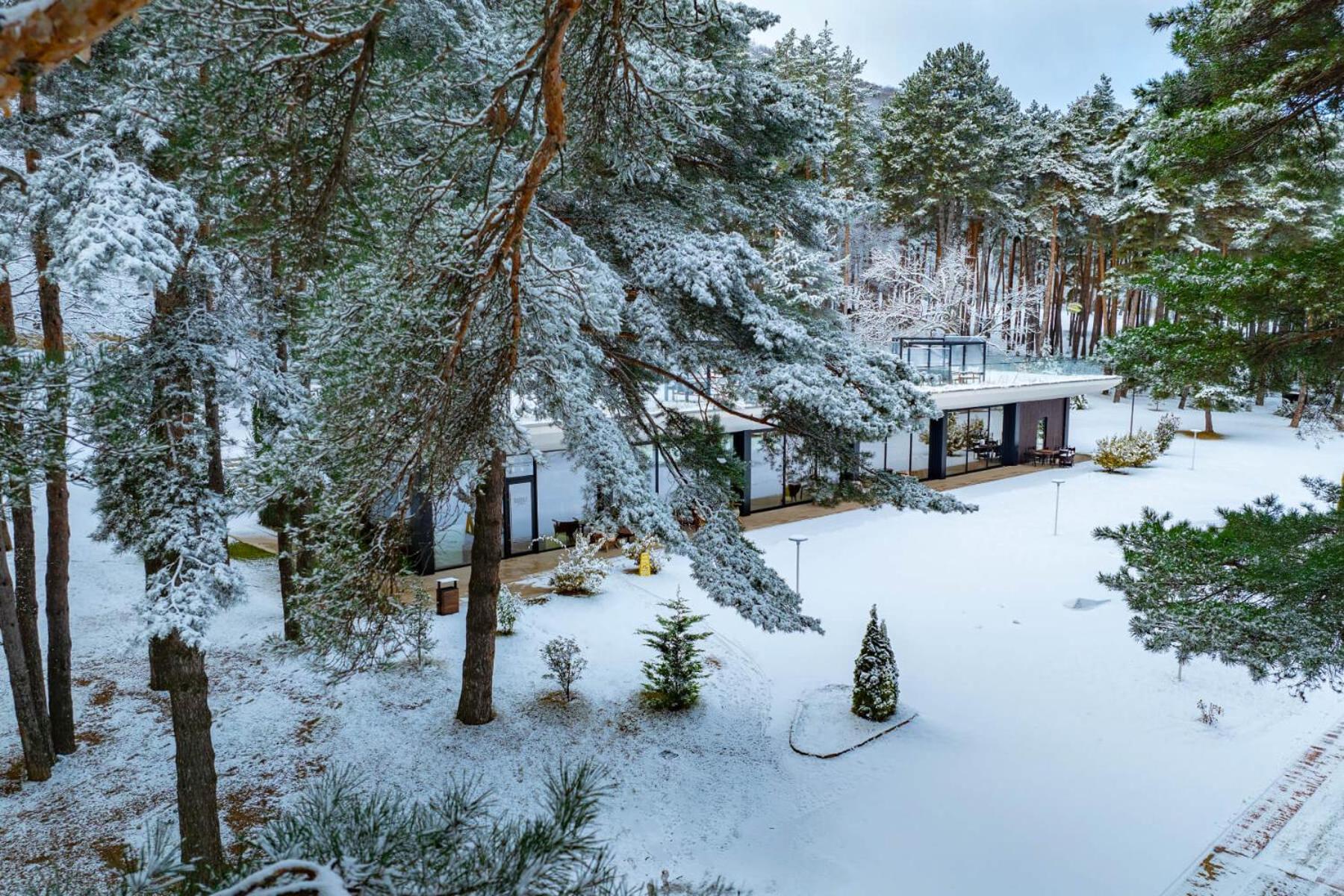 Bioli Wellness Resort Kojori ภายนอก รูปภาพ